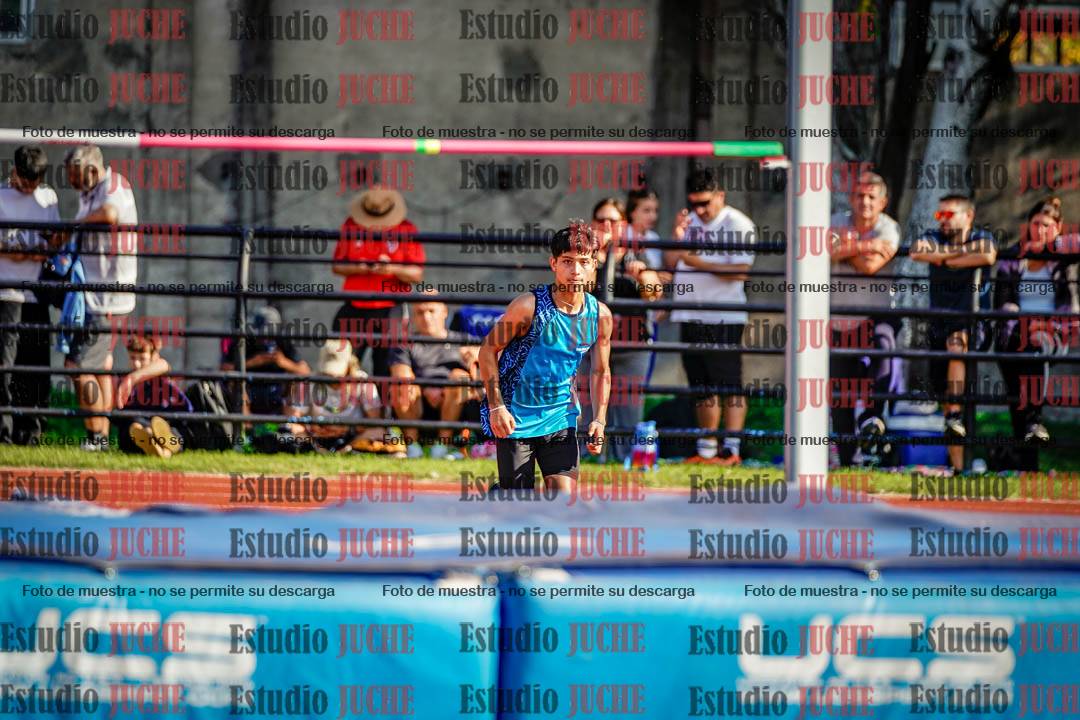 Fotos del salto en alto de varones