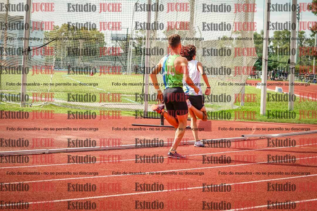 Fotos de los 800 m llanos de varones