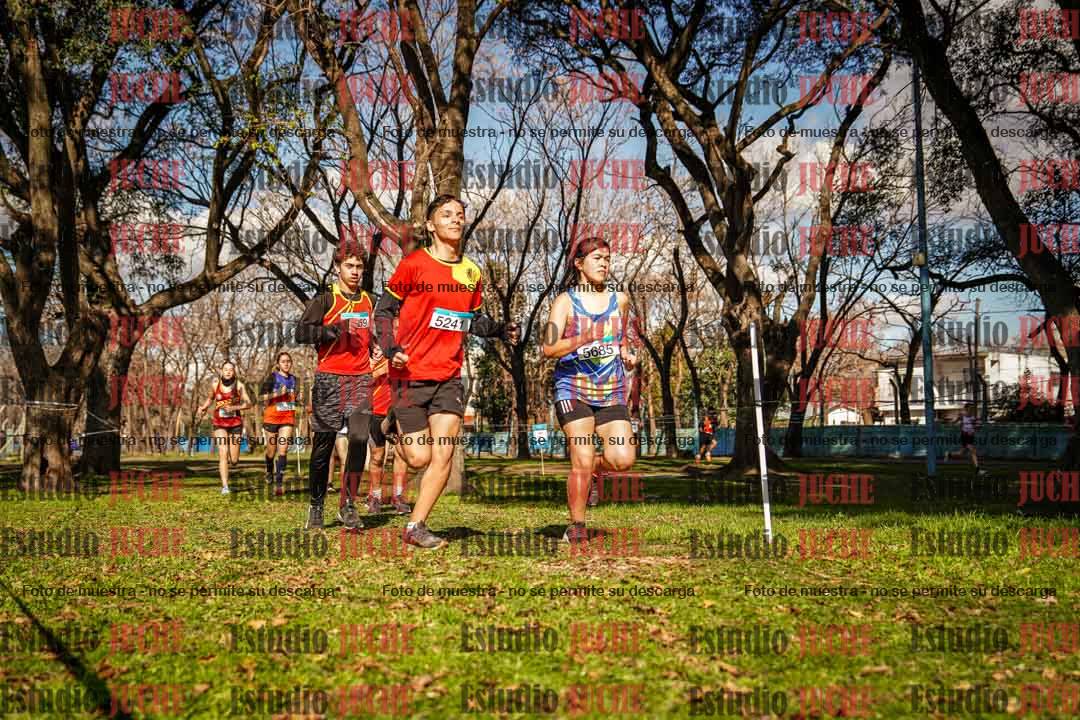 Fotos en el circuito
