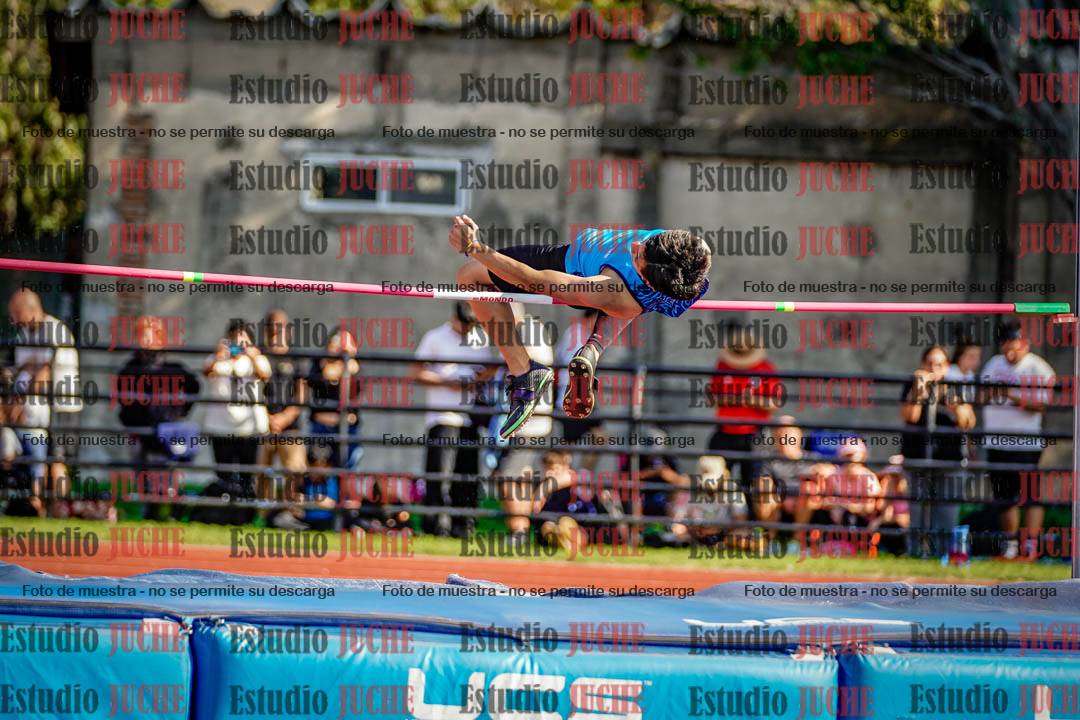 Fotos del salto en alto de varones