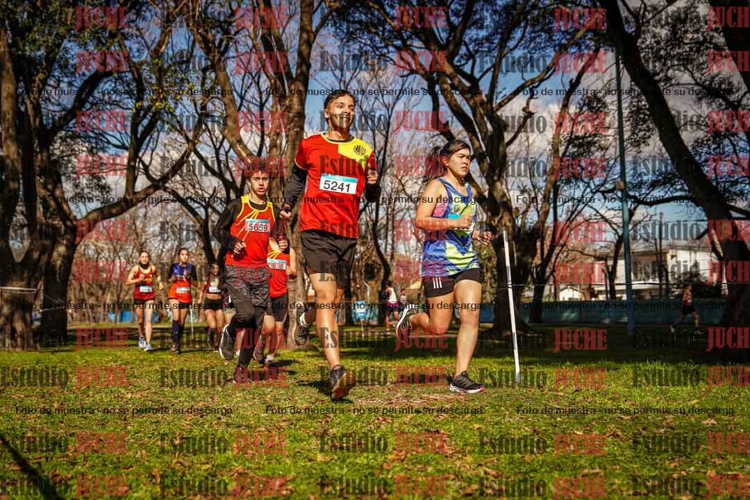 Fotos en el circuito