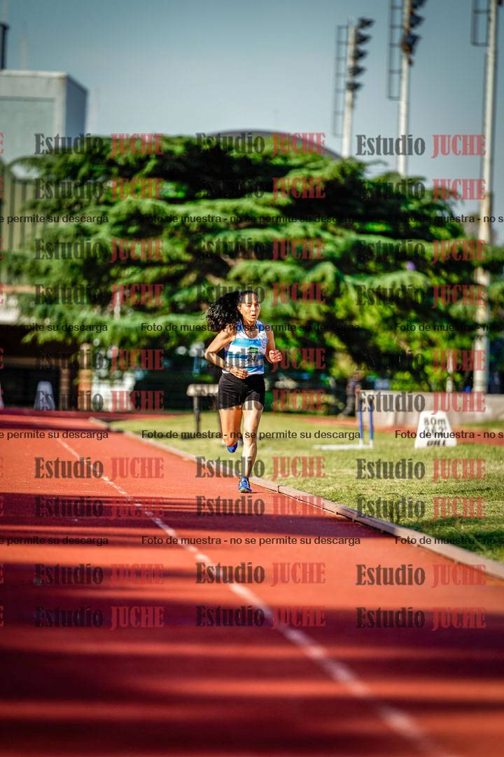 Fotos de los 1500 m llanos de mujeres