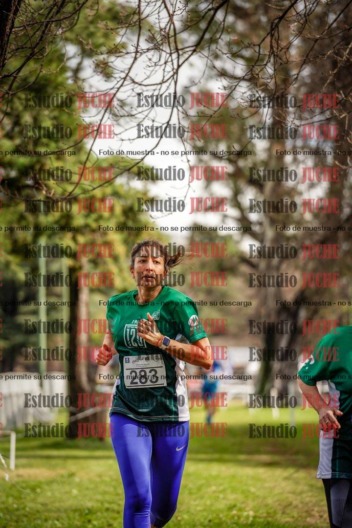 Fotos en el circuito