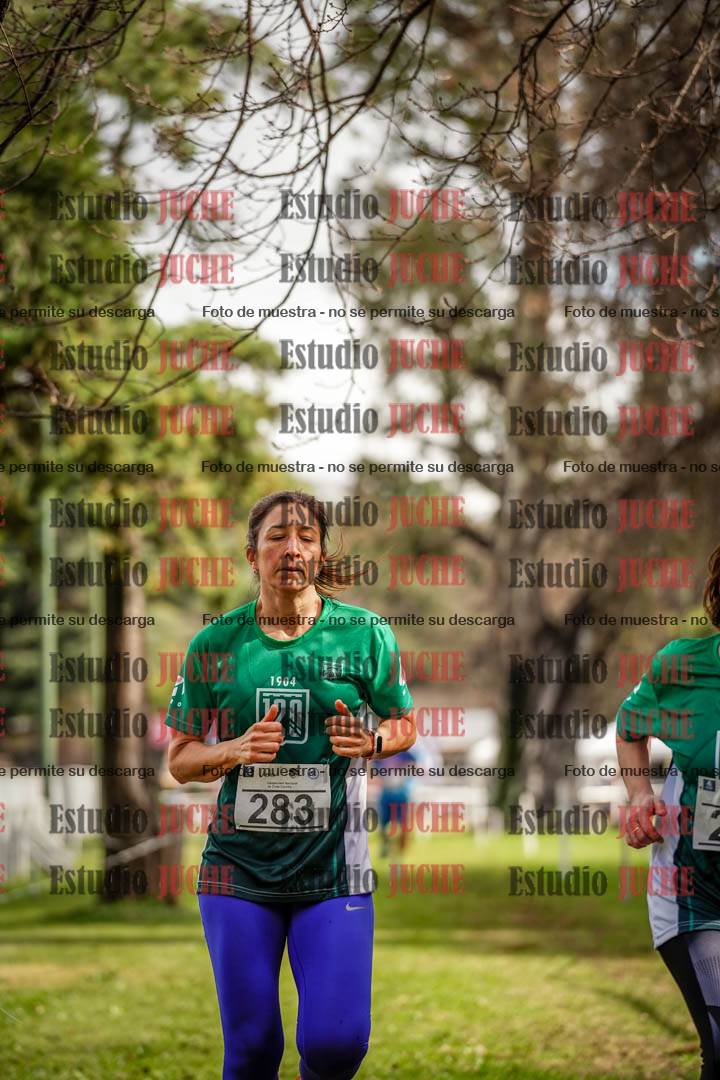 Fotos en el circuito