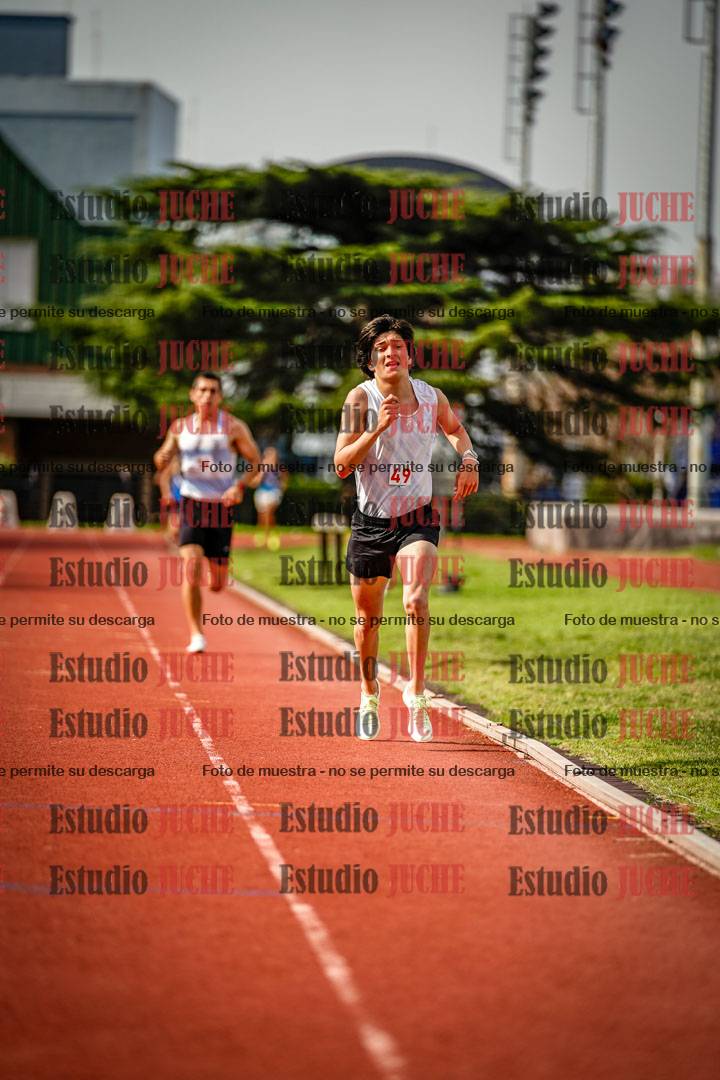 Fotos de los 3000 m llanos de varones