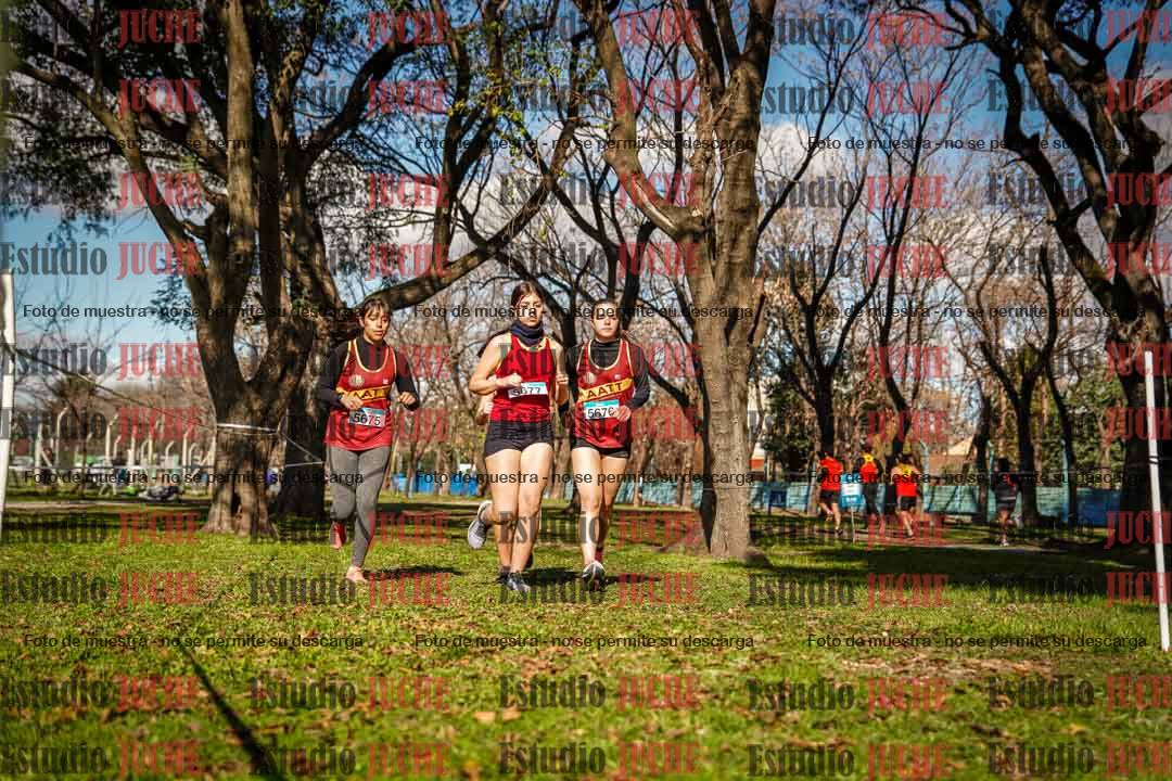 Fotos en el circuito