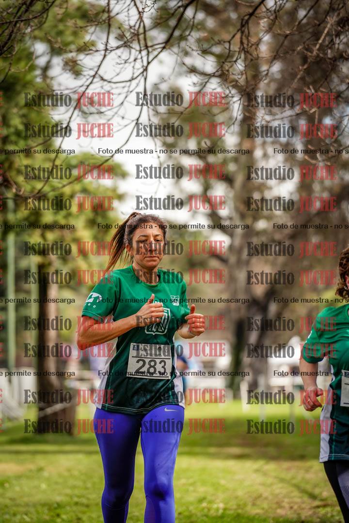 Fotos en el circuito