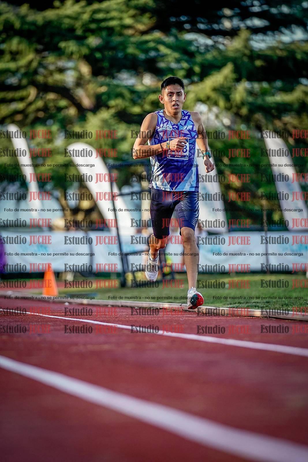 Fotos de los 5000 m de varones
