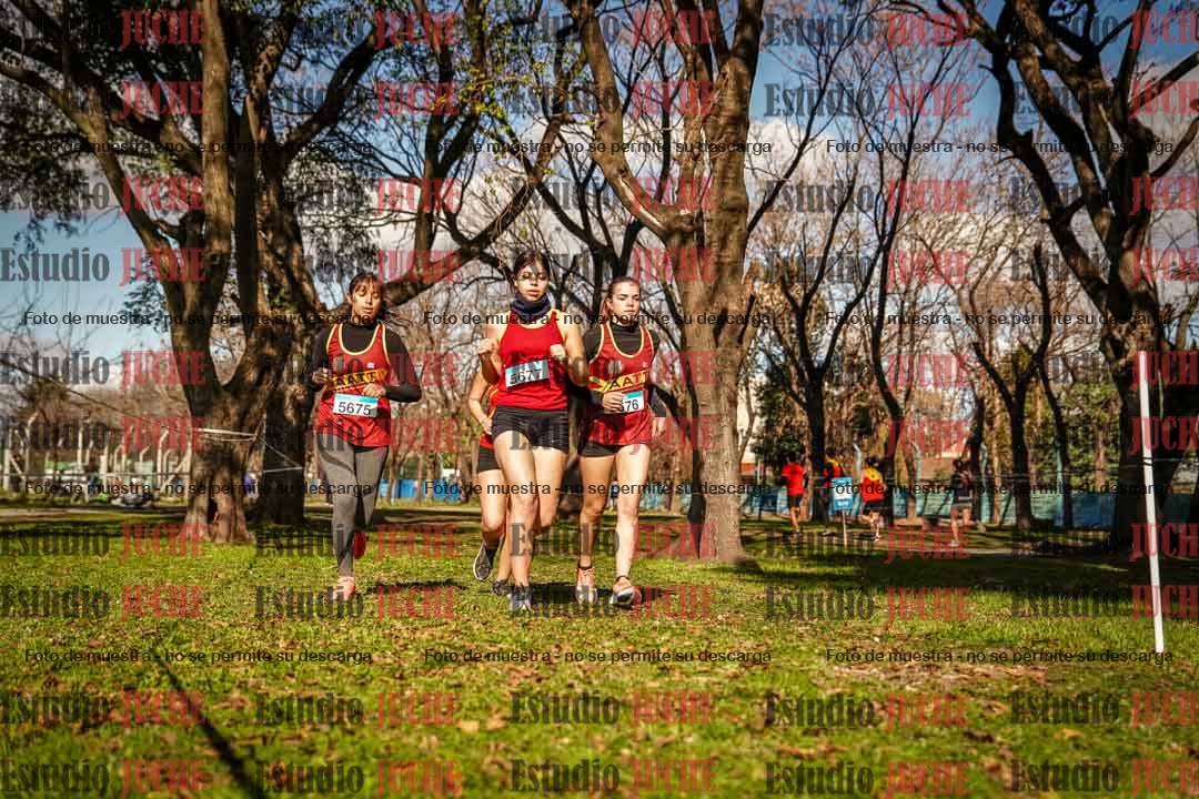 Fotos en el circuito