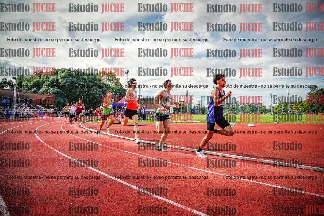 Fotos de los 800 m llanos de varones