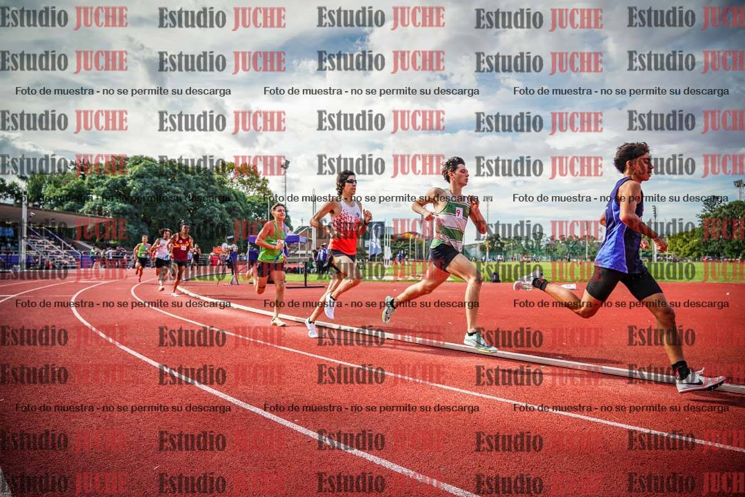 Fotos de los 800 m llanos de varones