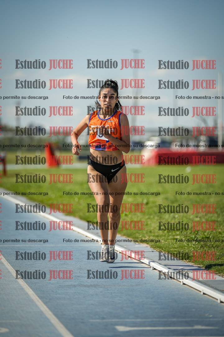 Fotos de los 1500 m llanos de mujeres