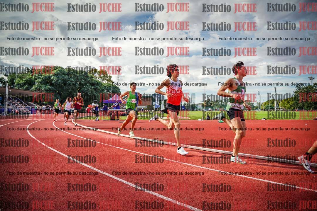 Fotos de los 800 m llanos de varones