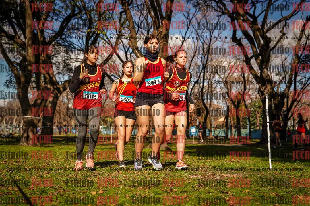 Fotos en el circuito