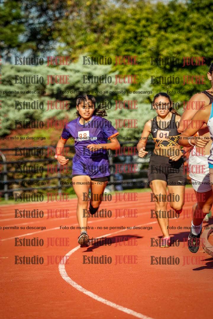 Fotos de los 1500 m de mujeres