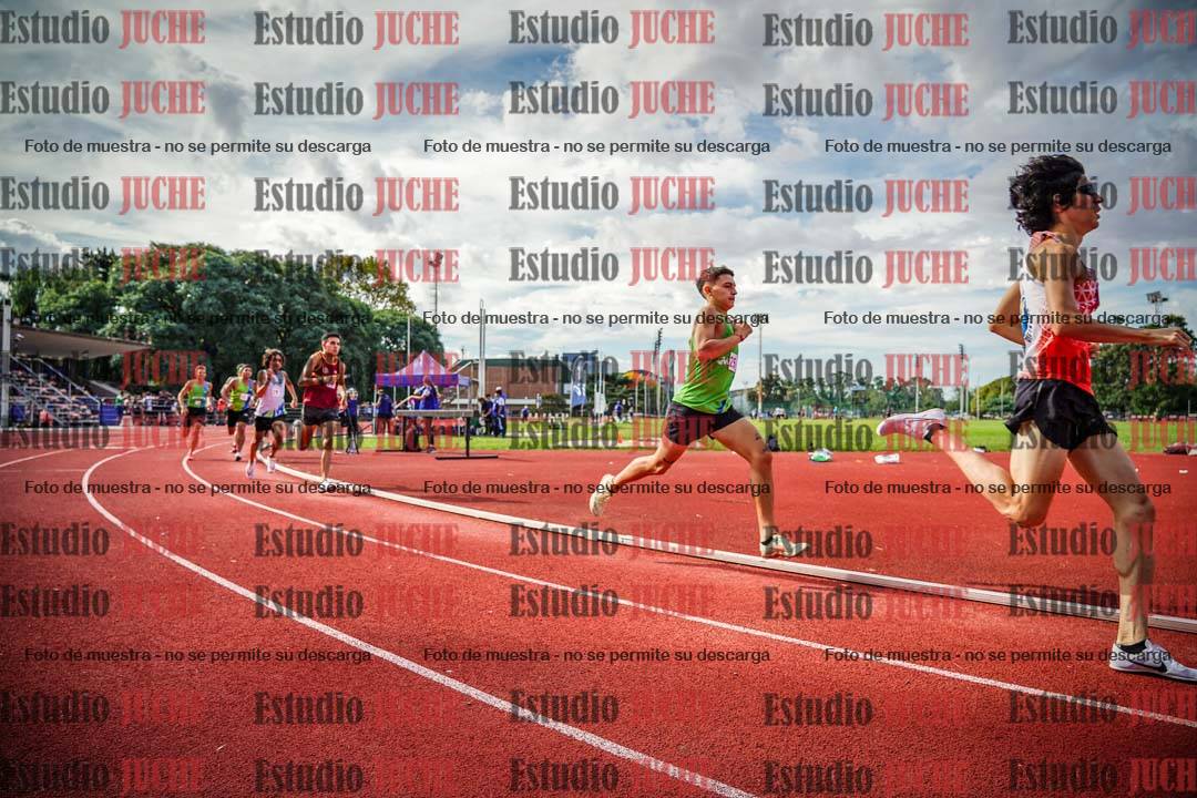 Fotos de los 800 m llanos de varones