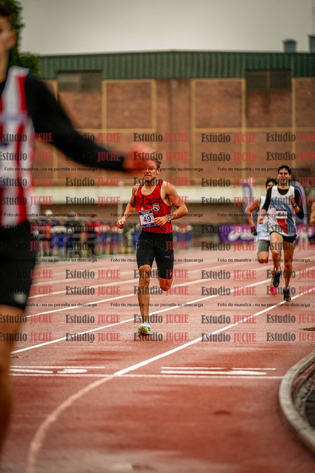 Fotos de los 1500 m llanos de varones