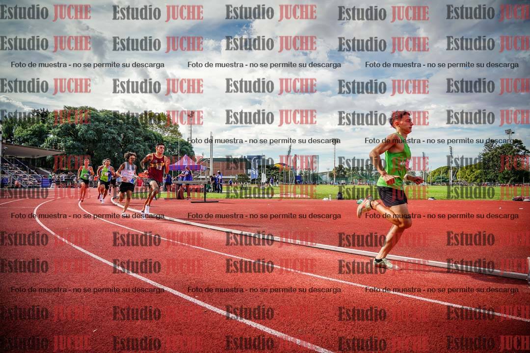 Fotos de los 800 m llanos de varones