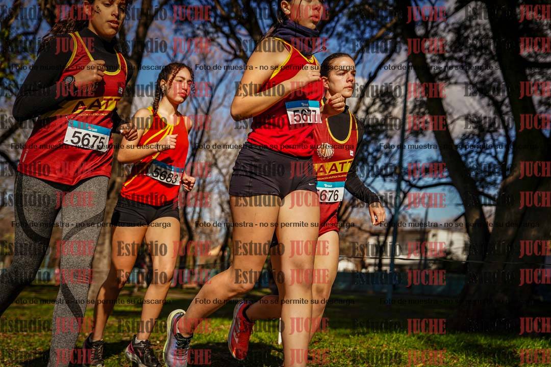 Fotos en el circuito