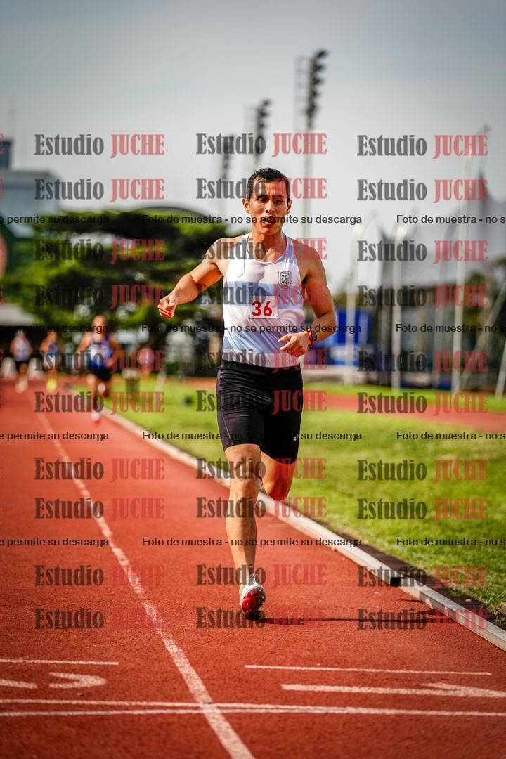 Fotos de los 3000 m llanos de varones