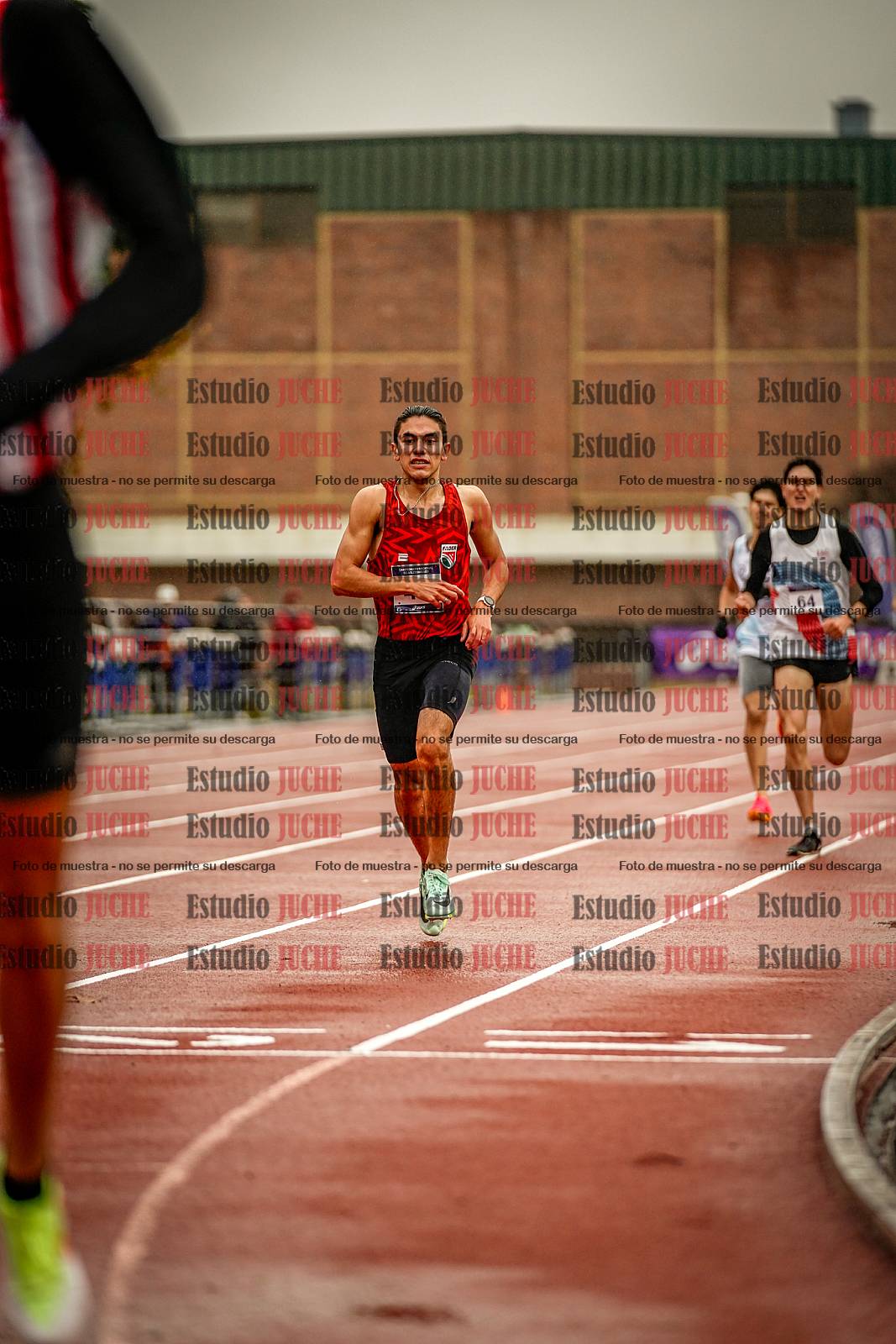 Fotos de los 1500 m llanos de varones