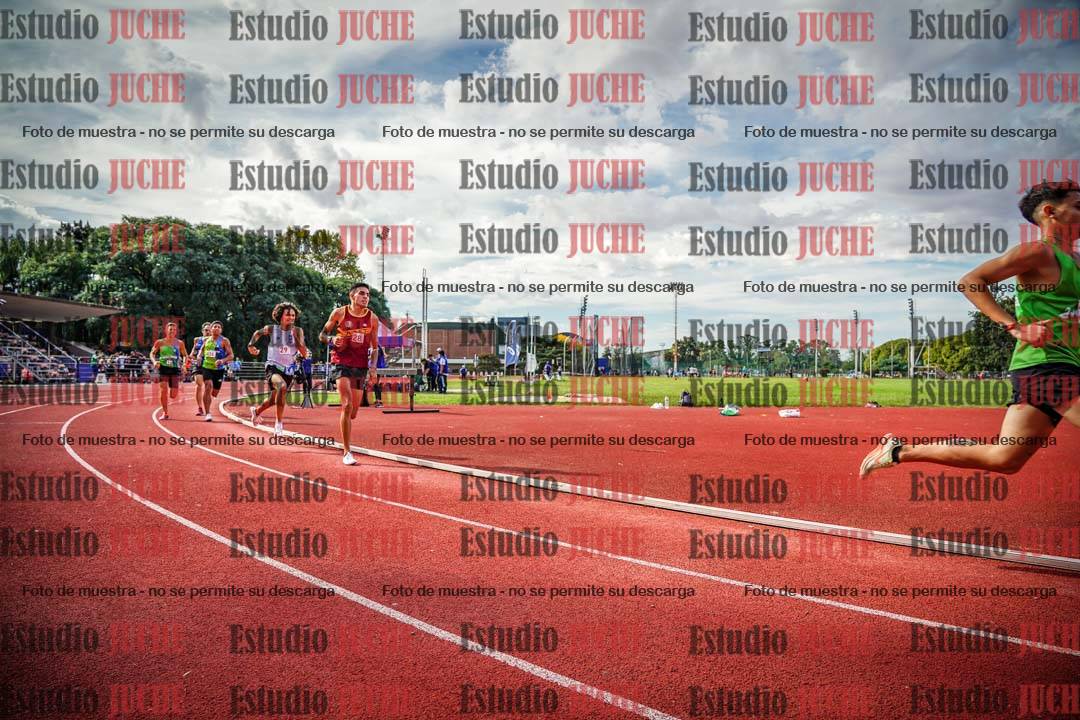 Fotos de los 800 m llanos de varones