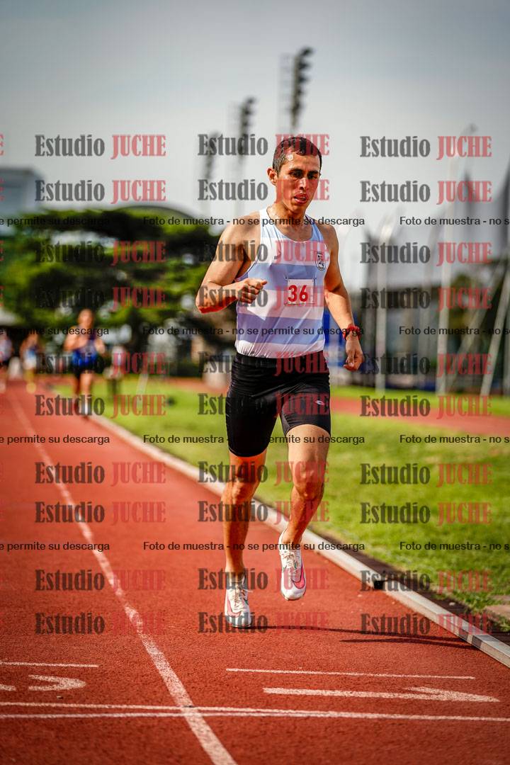 Fotos de los 3000 m llanos de varones