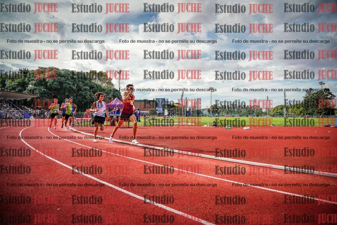 Fotos de los 800 m llanos de varones