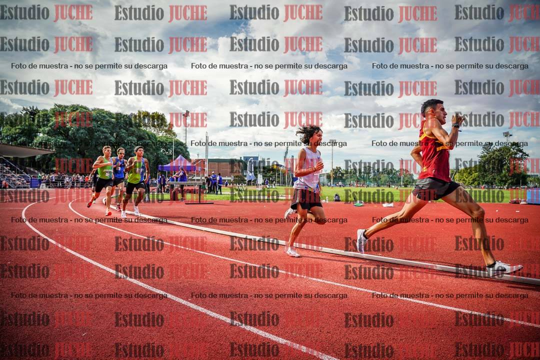 Fotos de los 800 m llanos de varones