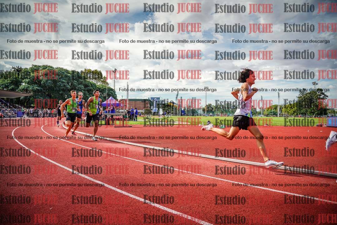 Fotos de los 800 m llanos de varones