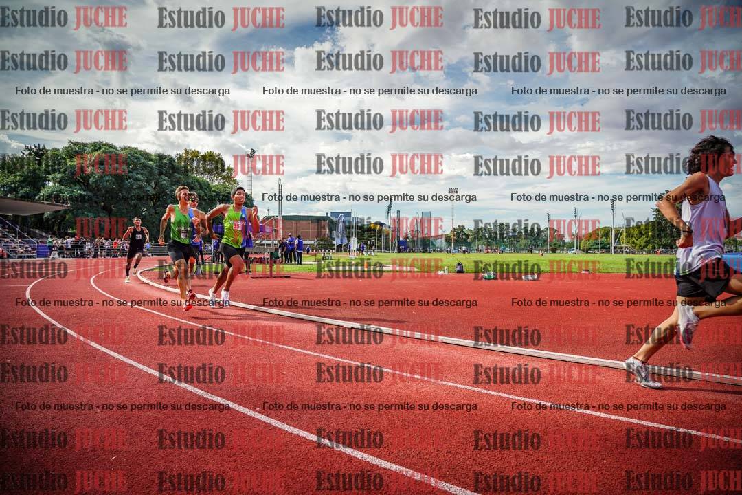 Fotos de los 800 m llanos de varones