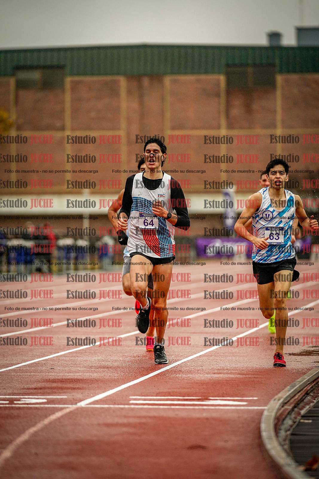 Fotos de los 1500 m llanos de varones
