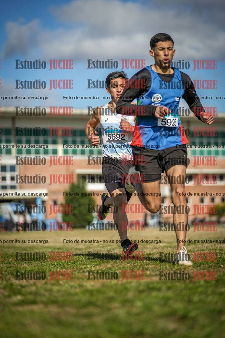 Fotos en el circuito