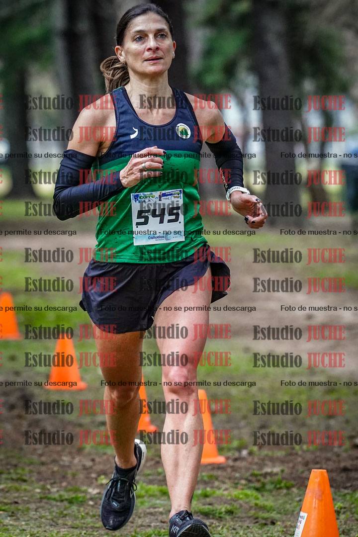 Fotos en el circuito