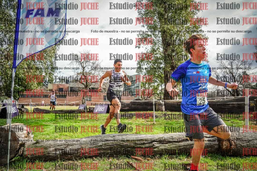 Fotos en el circuito