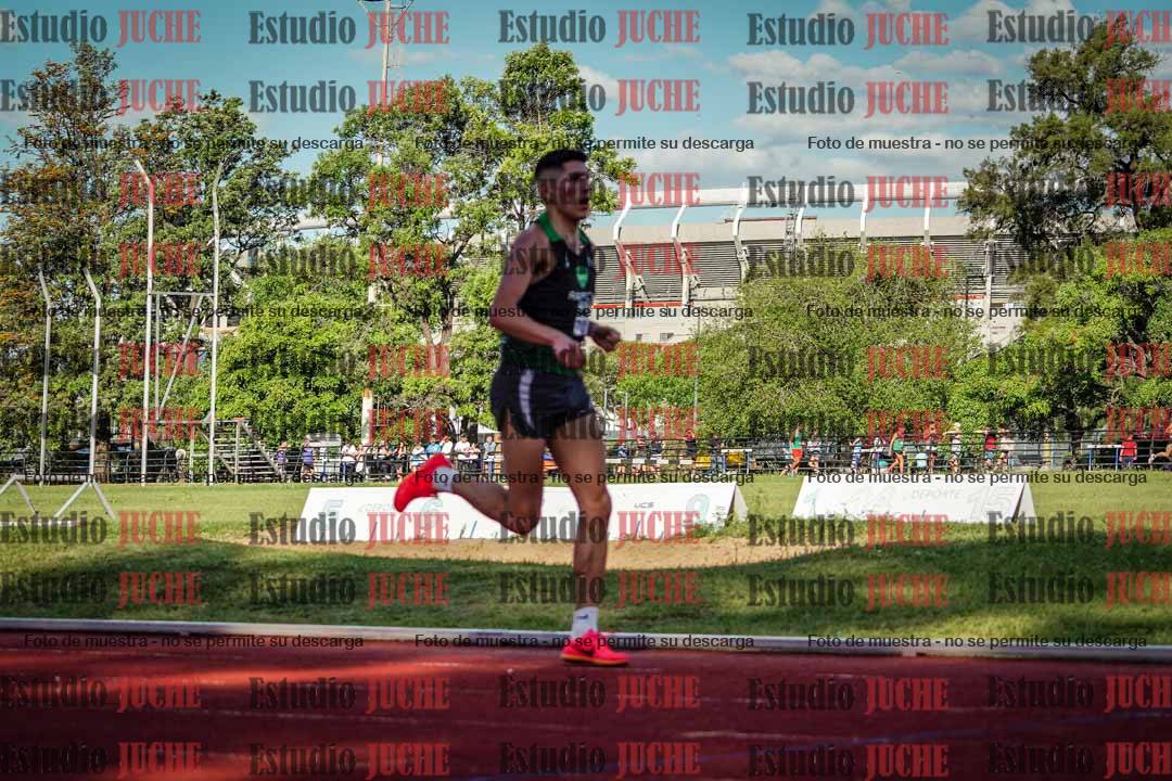 Fotos de los 3000 m llanos de varones