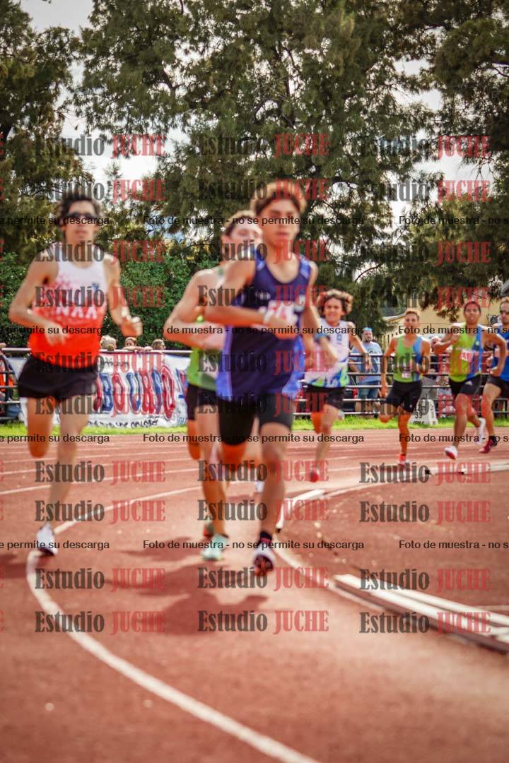 Fotos de los 800 m llanos de varones