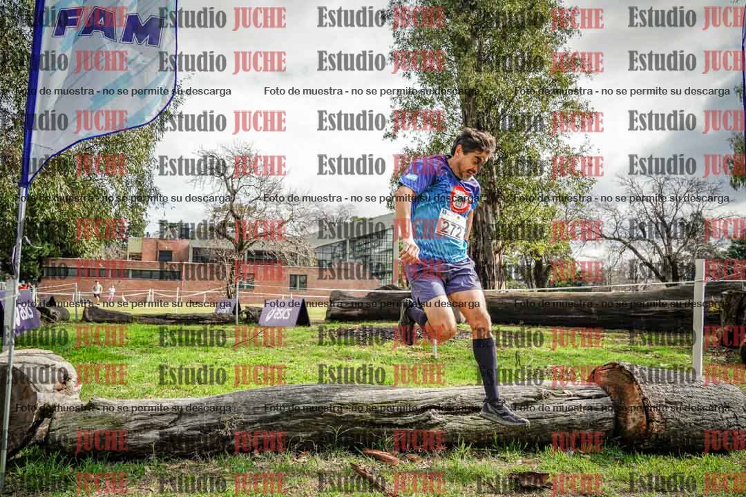 Fotos en el circuito