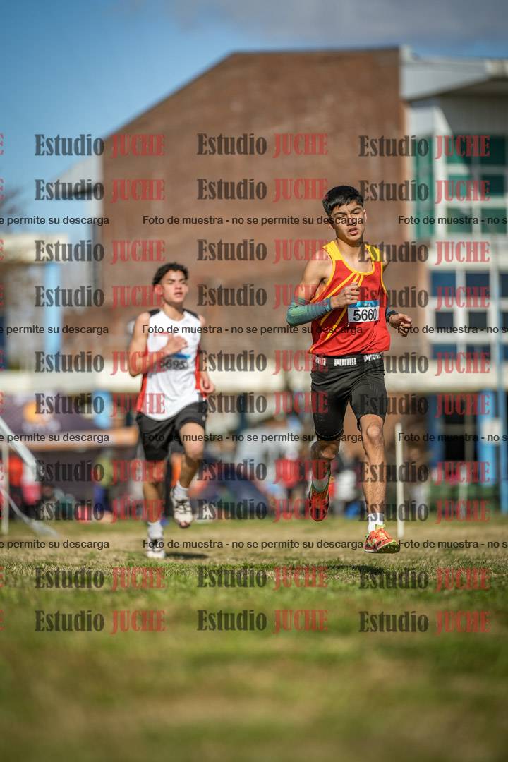 Fotos en el circuito