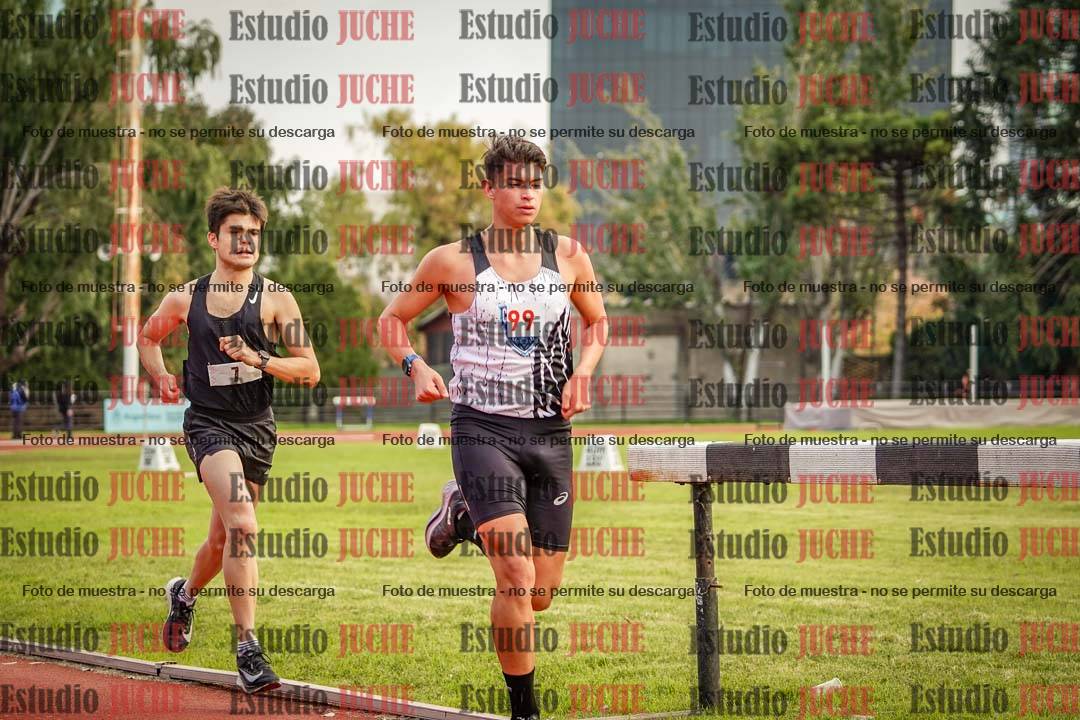 Fotos de los 5000 m llanos