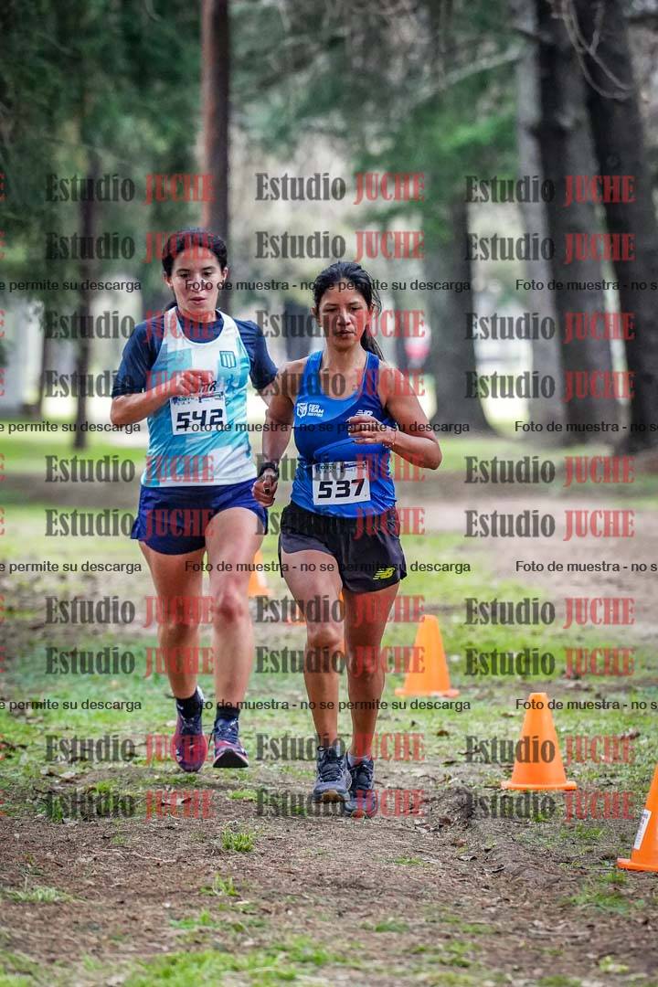 Fotos en el circuito