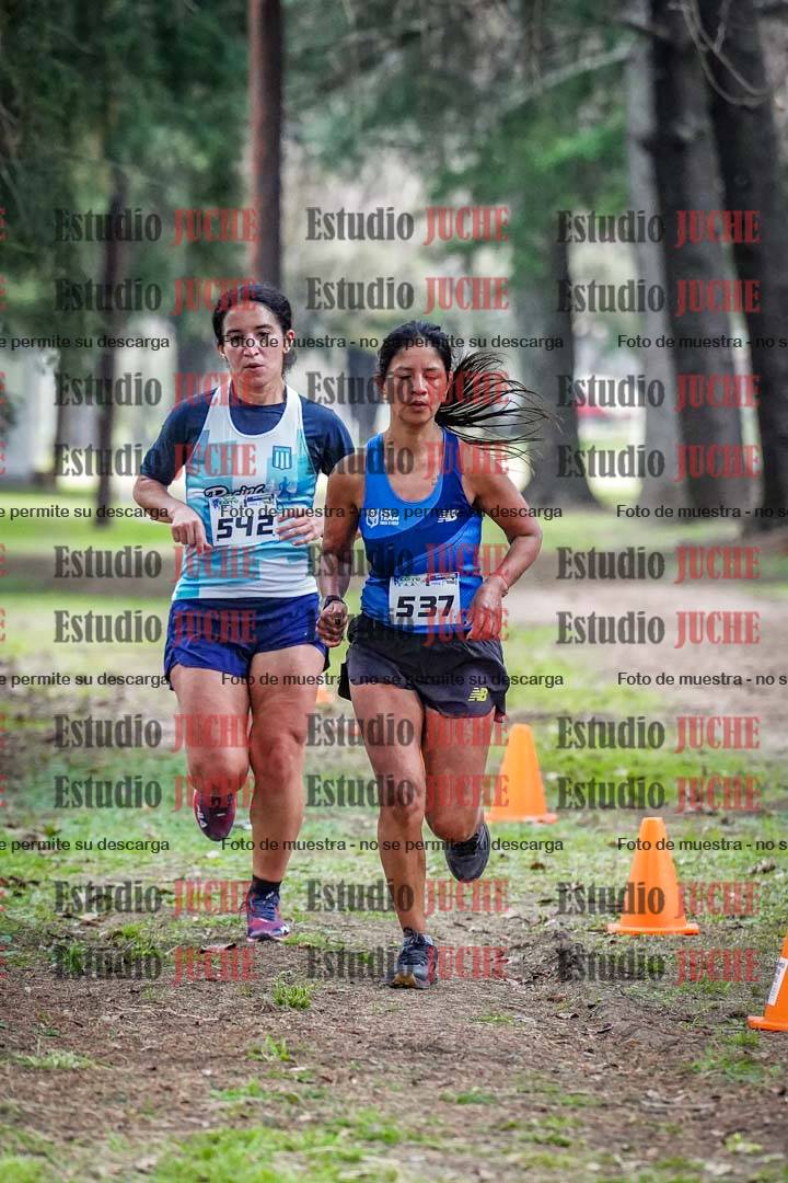 Fotos en el circuito