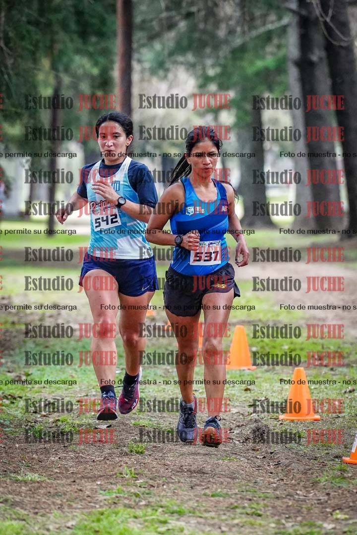 Fotos en el circuito