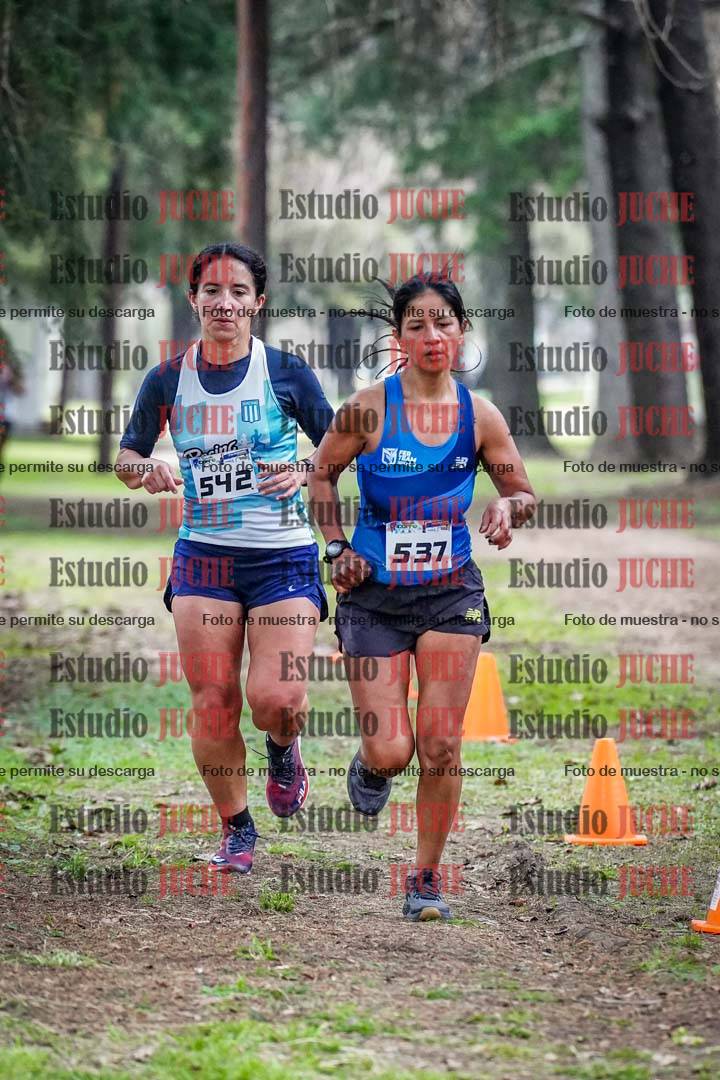 Fotos en el circuito