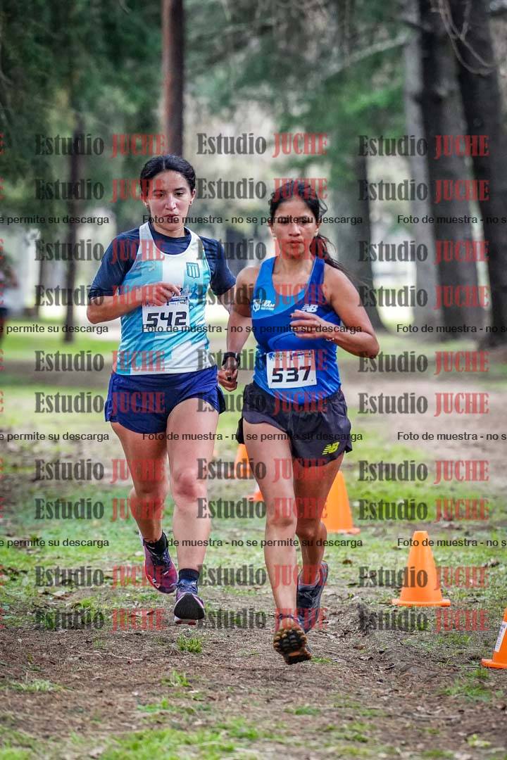 Fotos en el circuito
