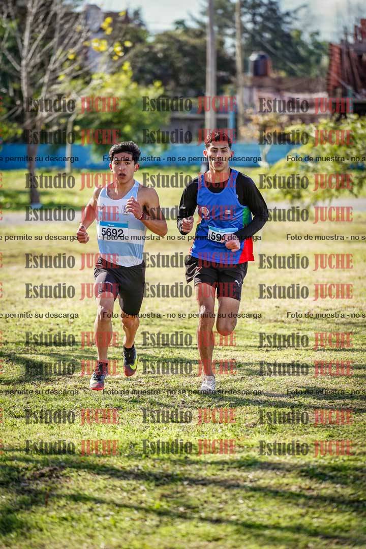 Fotos en el circuito