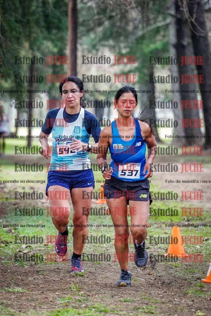Fotos en el circuito