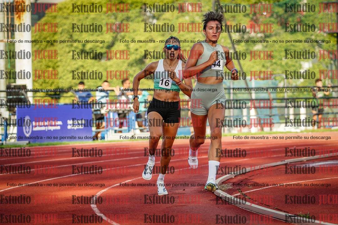 Fotos de los 1500 m llanos de mujeres