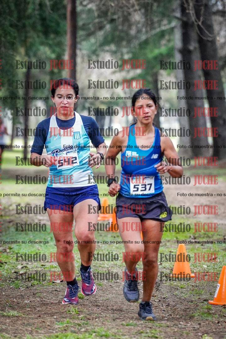 Fotos en el circuito