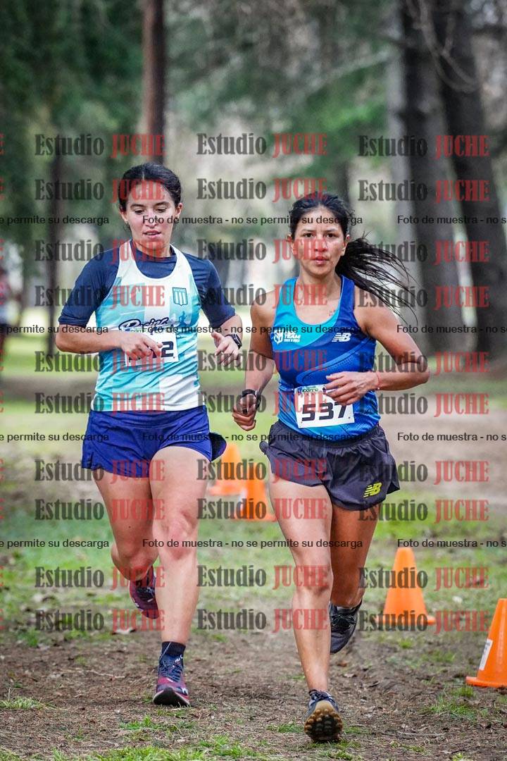 Fotos en el circuito